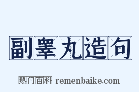 副睾丸造句是什么意思的图片